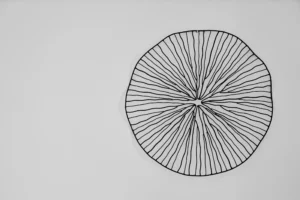 Villa Photography Santorini