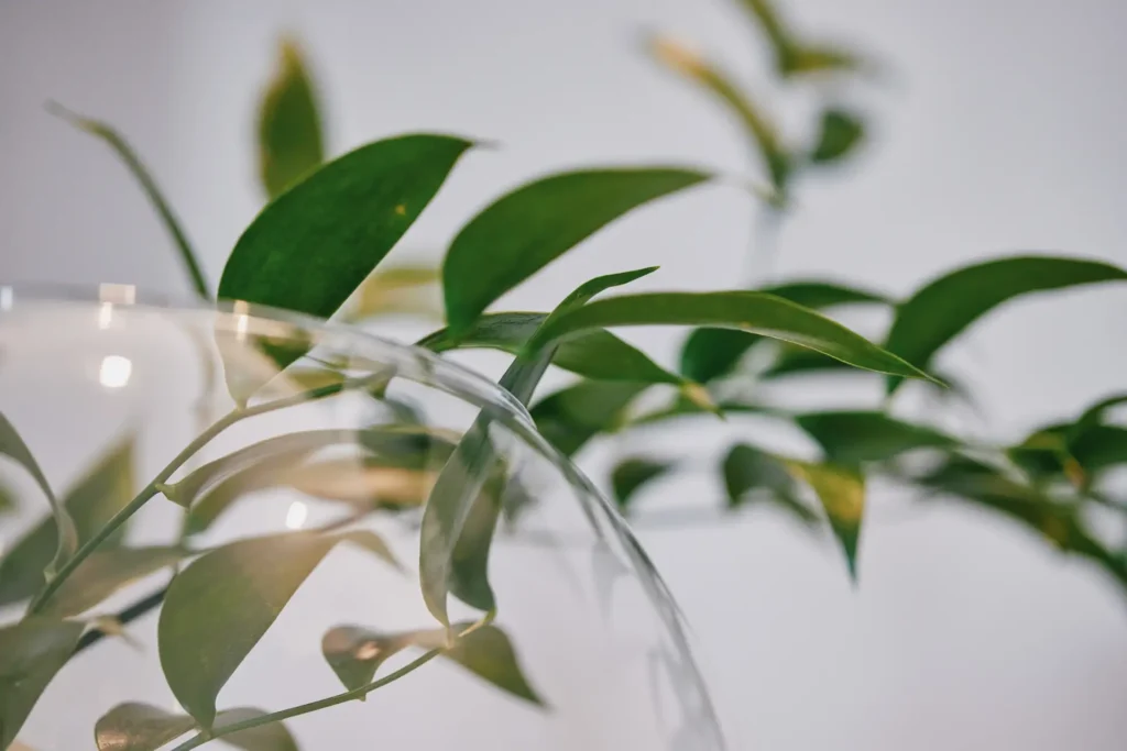 Decorative vase and branches in guest room