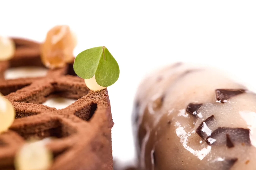 Close-up detail of HORECA chocolate dessert with gel and leaf garnish