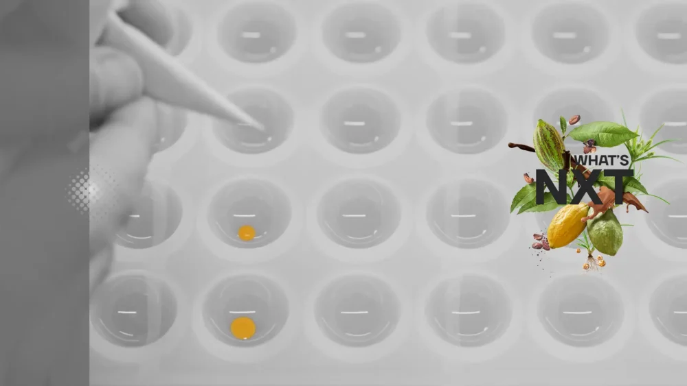 callebaut nxt campaign film