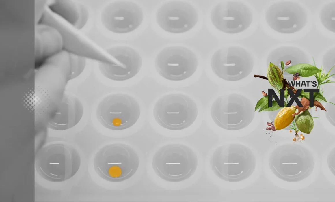 callebaut nxt campaign film