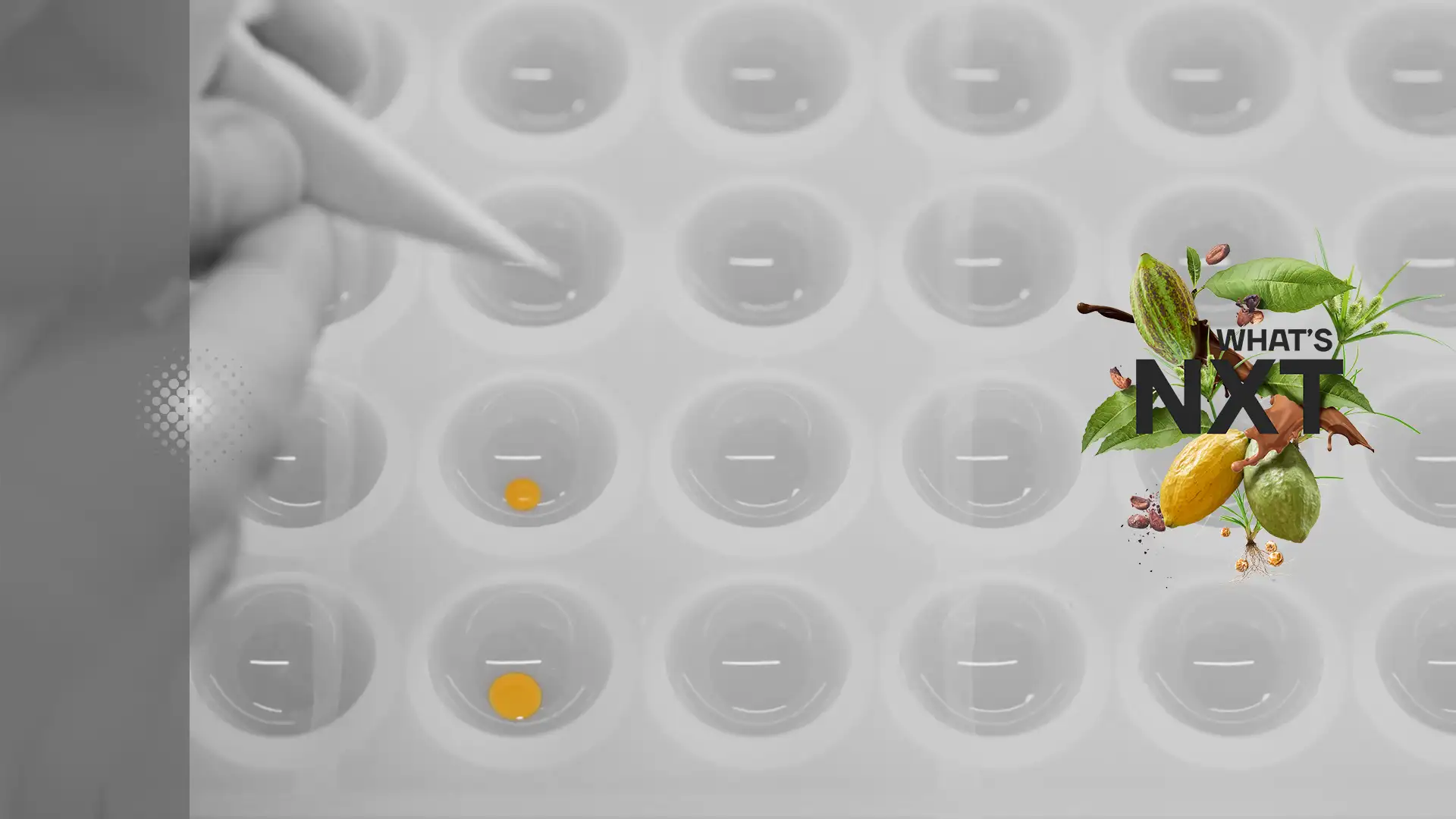 callebaut nxt campaign film
